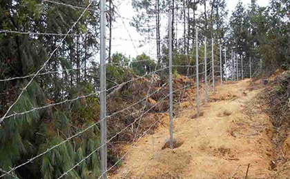 鍍鋅立柱 鍍鋅立柱