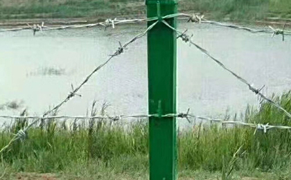 1500518221221930461.jpg 1500518221221930461.jpg