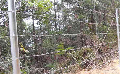 鍍鋅立柱 鍍鋅立柱