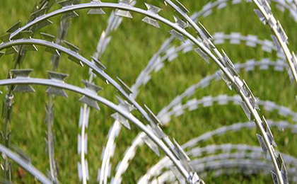 593107041338918310.jpg 593107041338918310.jpg