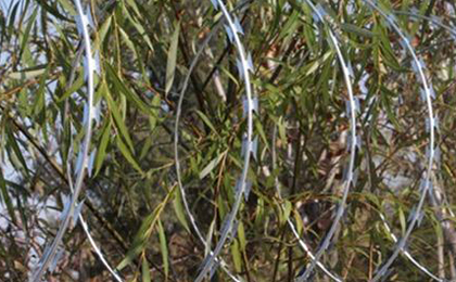 單螺旋刀片刺繩